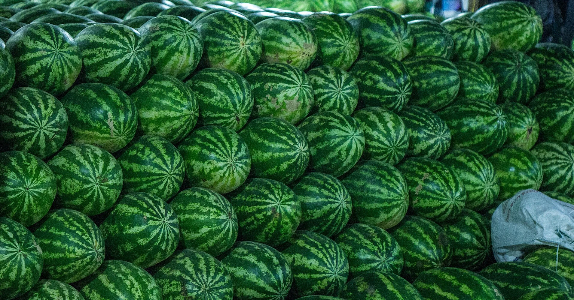 Кавуни та помідори очолили продажі, ціни на овочі “борщового набору” знижуються
