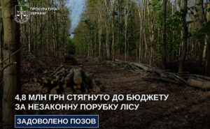 На Дніпропетровщині через незаконну вирубку лісу до бюджету стягнуть 4,8 млн грн На Дніпропетровщині через незаконну вирубку лісу до бюджету стягнуть 4,8 млн грн