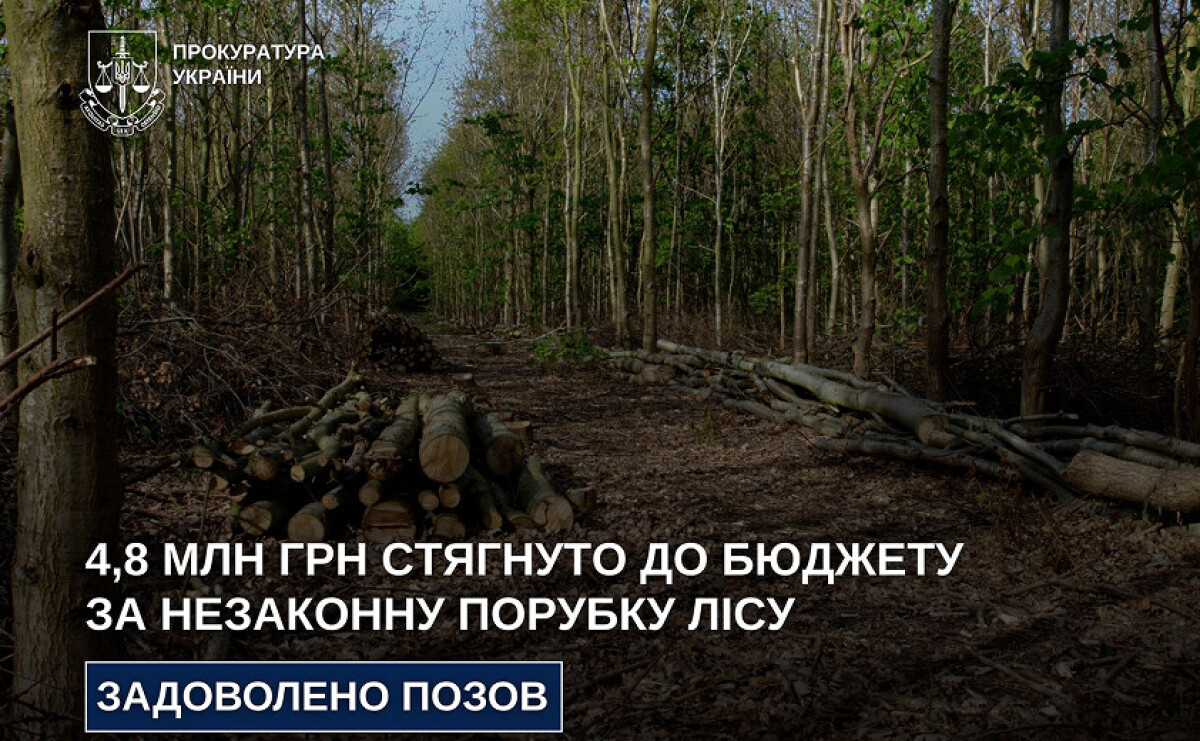 На Дніпропетровщині через незаконну вирубку лісу до бюджету стягнуть 4,8 млн грн На Дніпропетровщині через незаконну вирубку лісу до бюджету стягнуть 4,8 млн грн
