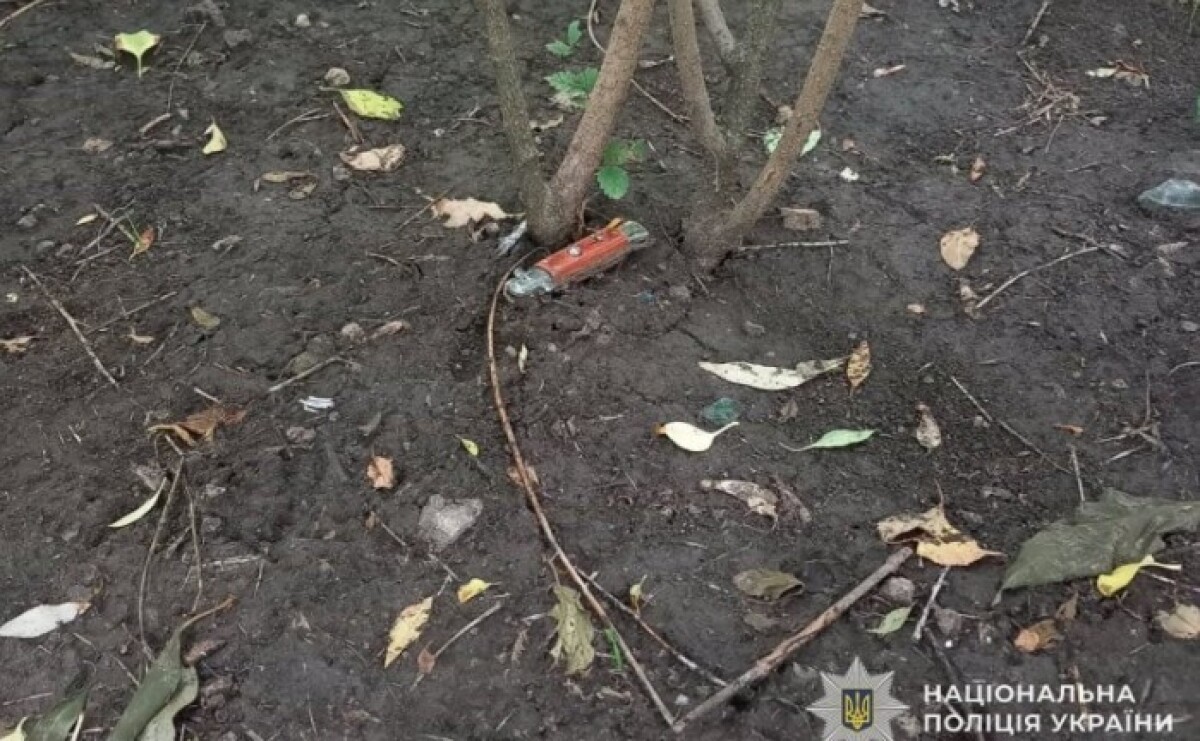 Криворізькі поліцейські затримали чоловіка, причетного до вбивства жінки