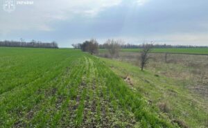 На Запоріжжі громаді повернуть 27 гектарів території заказника На Запоріжжі громаді повернуть 27 гектарів території заказника